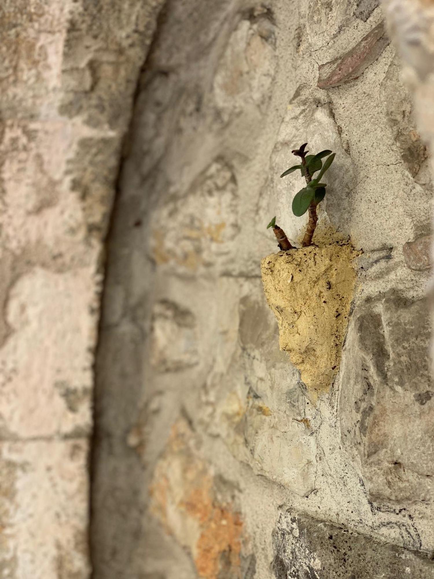 La Cle De La Porte B&B Antibes Exteriér fotografie